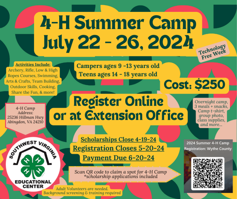 2024 4-H Summer Camp informational graphic